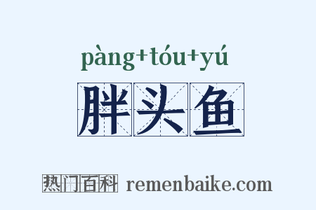 胖头鱼是什么意思的图片